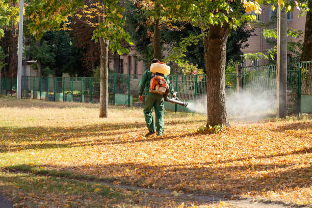 Reliable Wells, NV Pest Control Solutions